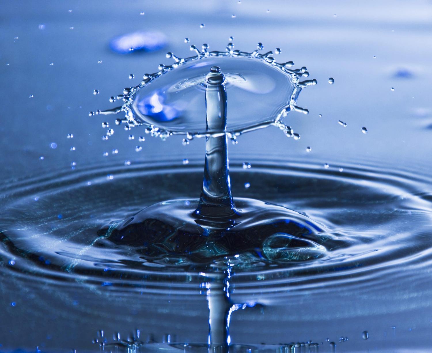 A number of water companies are appealing Ofwat’s pricing review Oxera