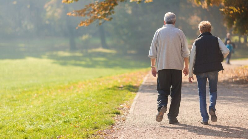 Depiction of Should pensions be a source of funding for a country’s investment needs?