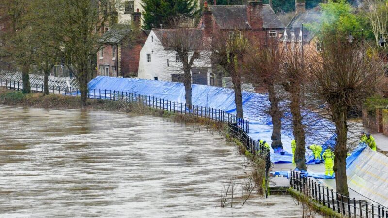 Depiction of What can the private sector do to promote and scale up climate adaptation?